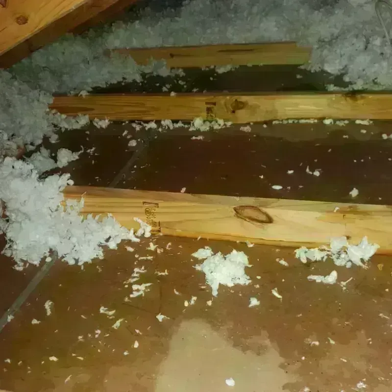 Attic Water Damage in Fairfield, CA