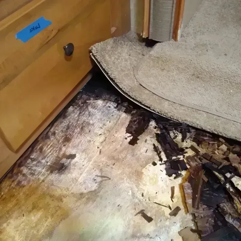 Best Wood Floor Water Damage Service in Fairfield, CA